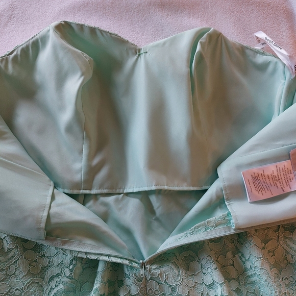 David's Bridal Short Lace Strapless Dress in Mint Green, Beautiful, Size… - Picture 6 of 13